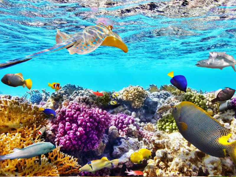 7 NOTTI | VOLO + VILLAGGIO IN ALL INCLUSIVE + OMAGGIO